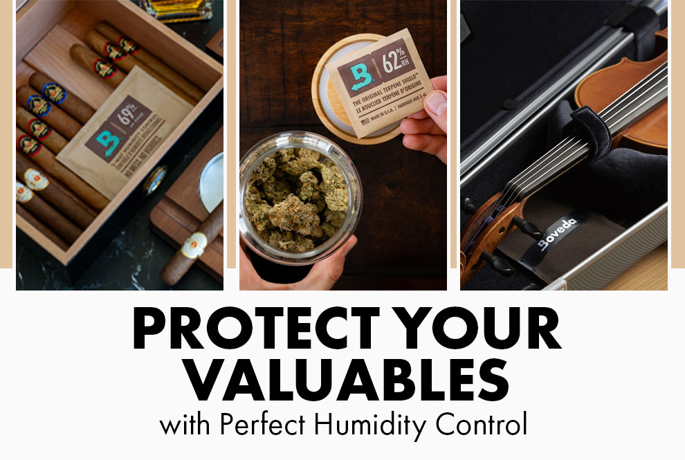 Protect Your Valuables with Perfect Humidity Control