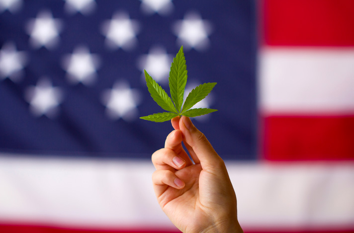 Cannabis leaf in front of an American flag