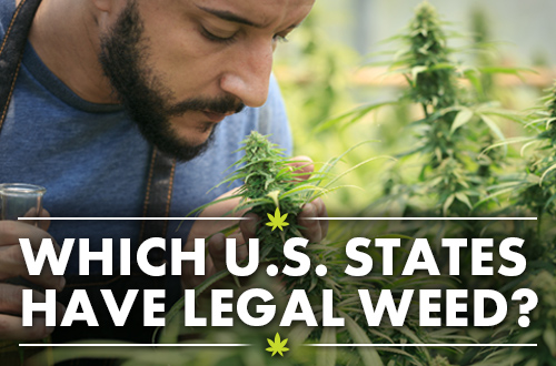 Where is Weed Legal in the U.S.? All the States Where Weed Is Legal