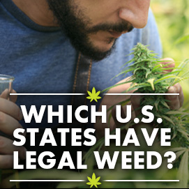 Which U.S. states have legal weed?
