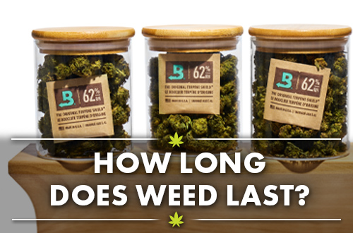 How Long Does Weed Last?