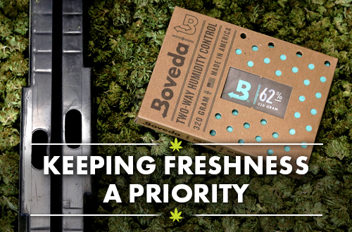 Boveda Terpene Spotlight: Pinene Terpene