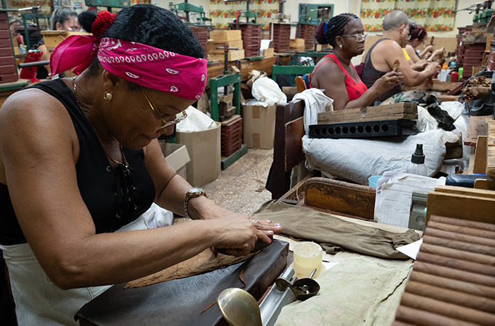 Woman rolling a cigar